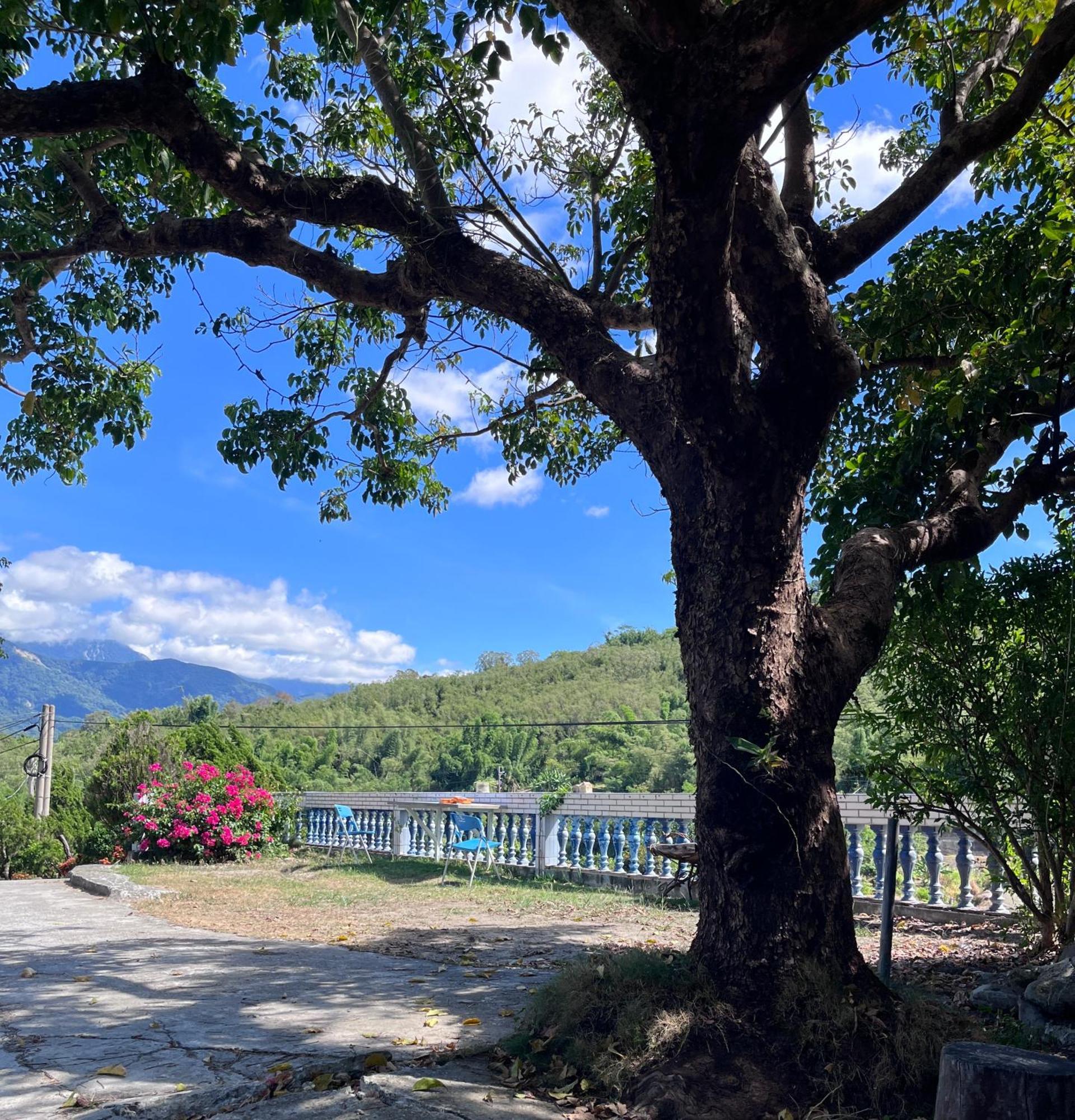 十畝田山莊會館 Otel Chishang Dış mekan fotoğraf