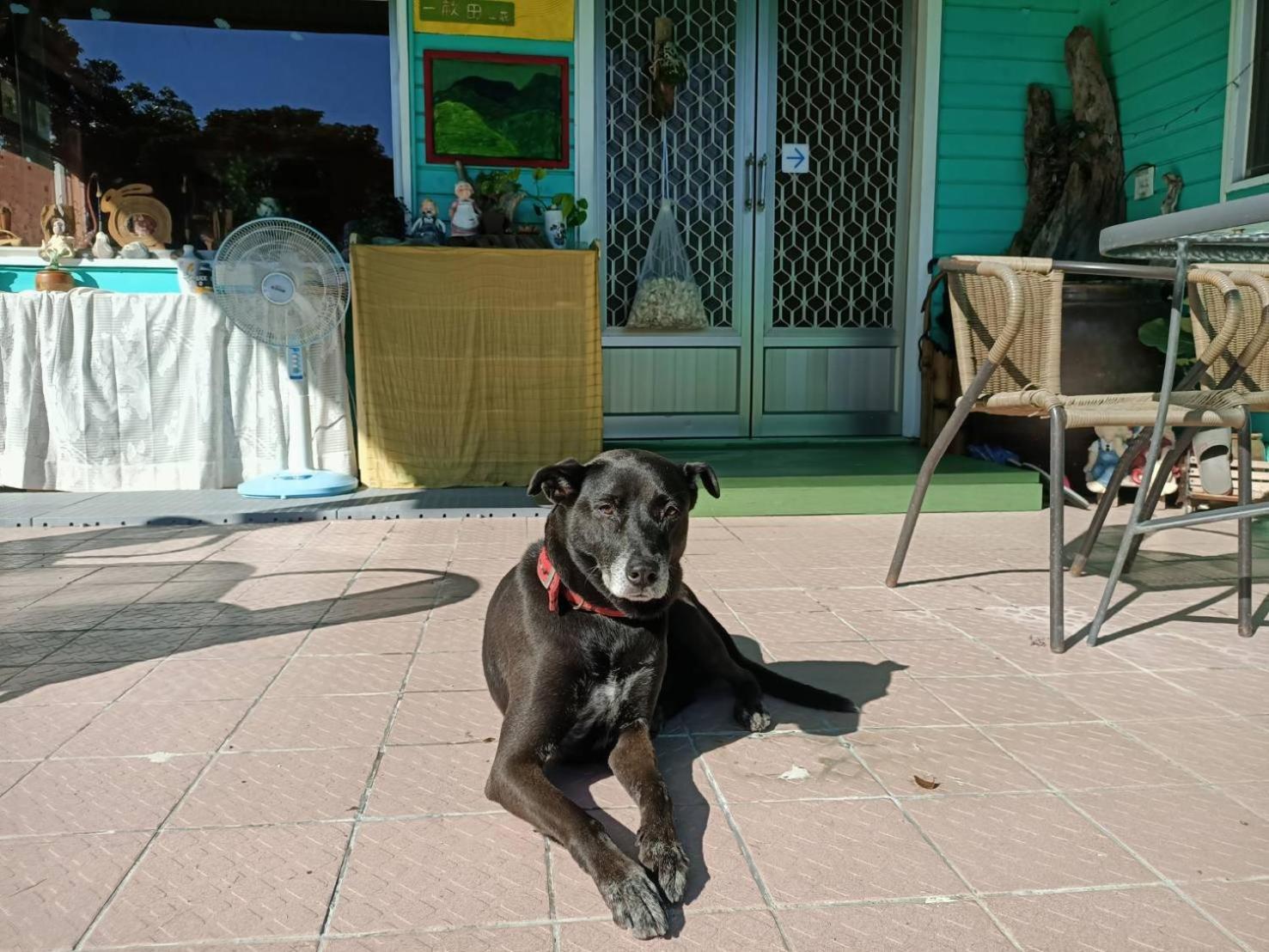 十畝田山莊會館 Otel Chishang Dış mekan fotoğraf