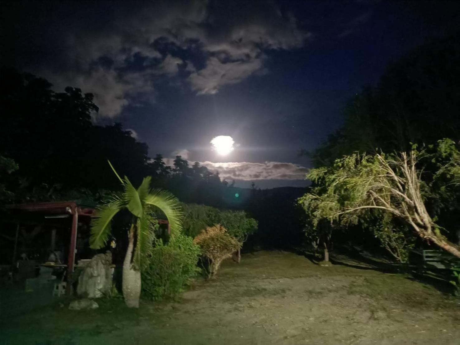十畝田山莊會館 Otel Chishang Dış mekan fotoğraf