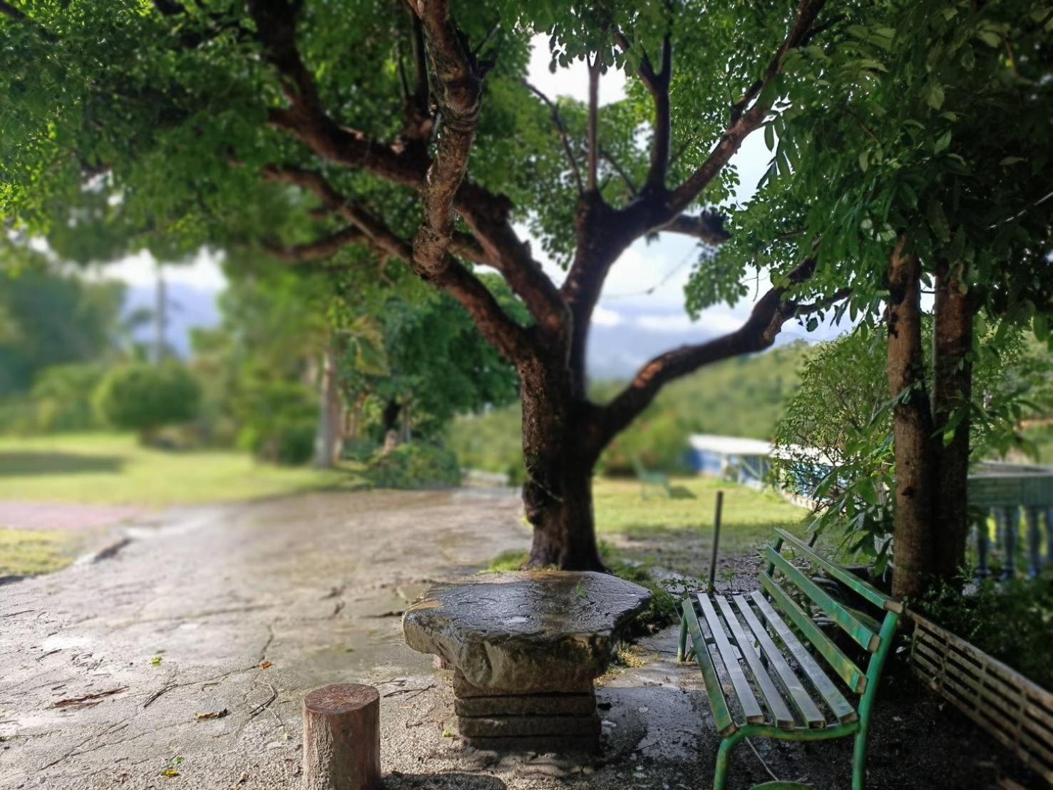 十畝田山莊會館 Otel Chishang Dış mekan fotoğraf