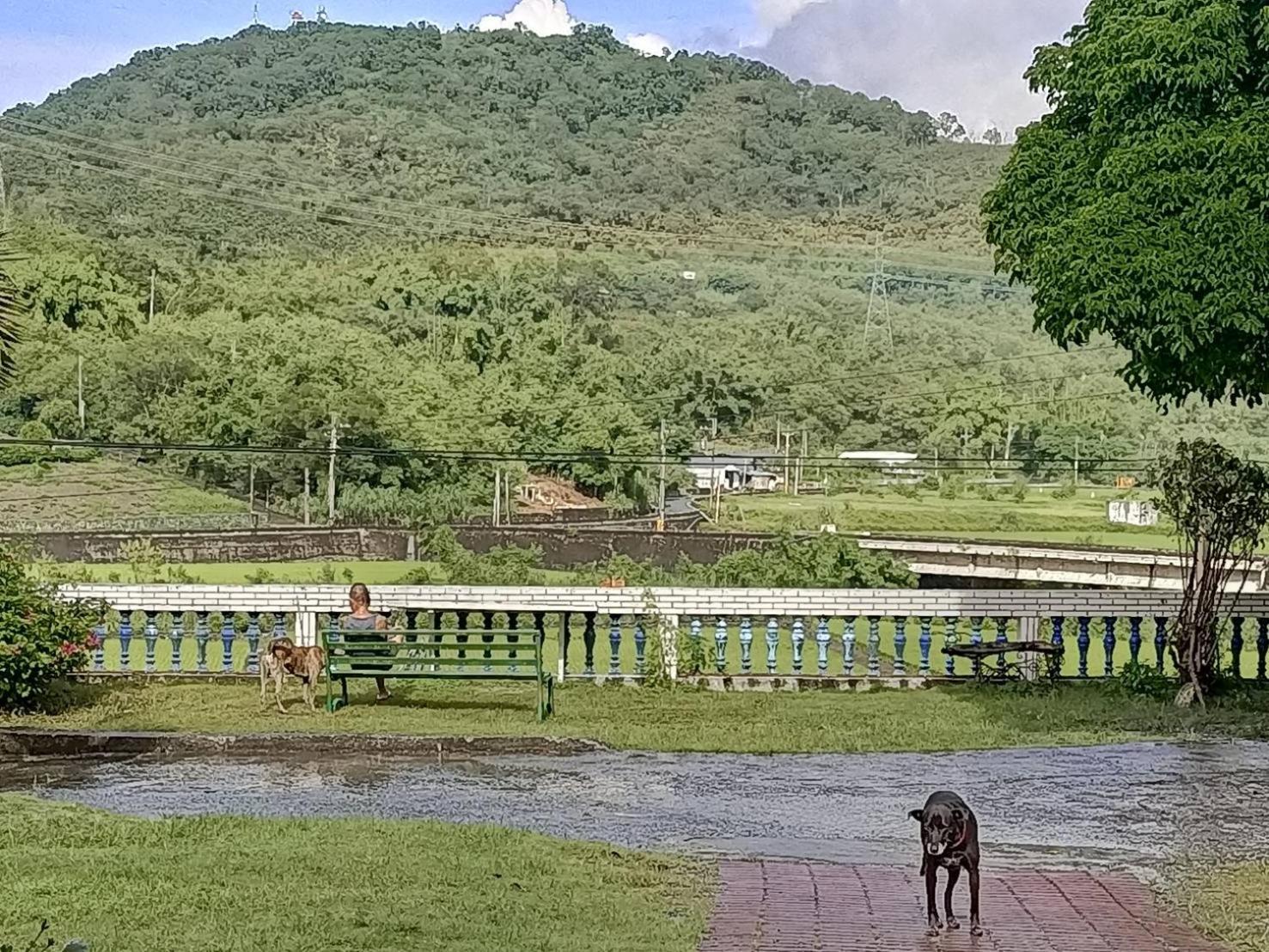 十畝田山莊會館 Otel Chishang Dış mekan fotoğraf